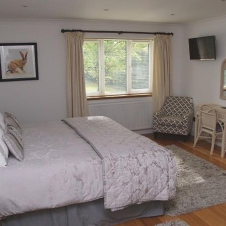 Cherry Tree Guesthouse 브래드포드온아본 객실 사진